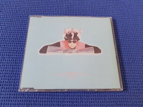 Pet shop boys wouldn - pet, wouldn't