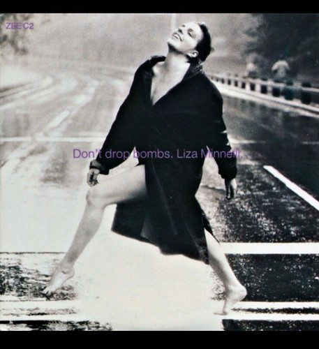 Liza minnelli pet shop - pet, boys