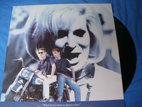 Maxi pet shop boys what - shop, +