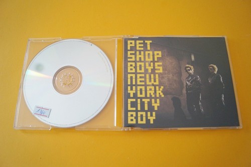 Pet shop boys - boys, york