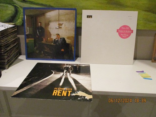 Pet shop vinyl - vinyl, schallplatte