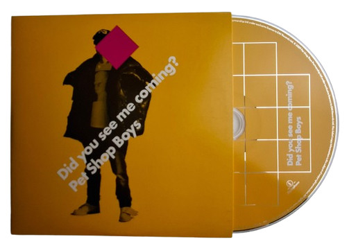 Pet shop boys did you - you, see