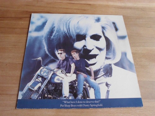 Maxi single pet shop - maxi,